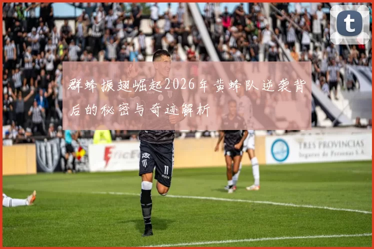 群蜂振翅崛起2026年黄蜂队逆袭背后的秘密与奇迹解析